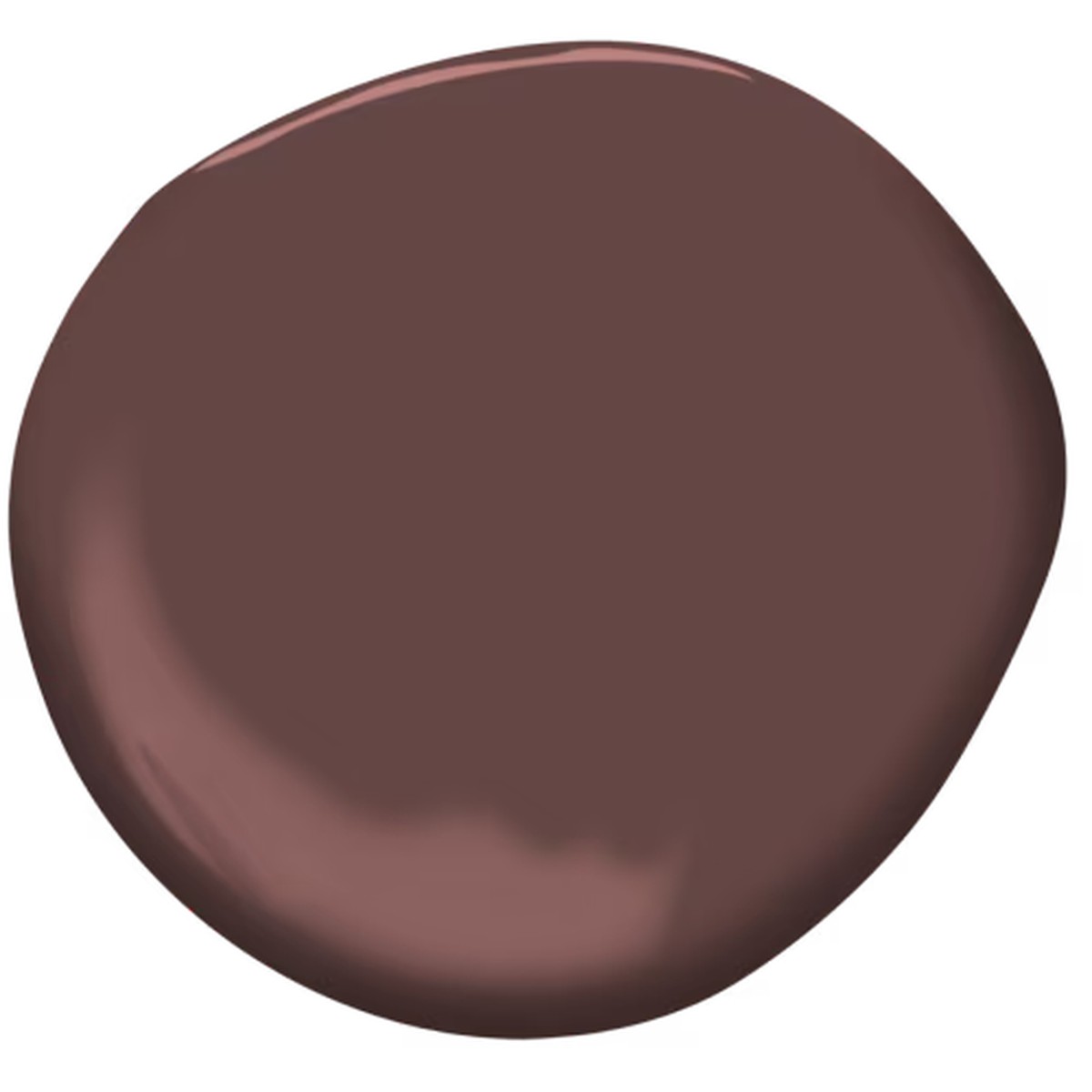 Benjamin Moore Regal Select Flat 18.9L Townsend Harbor Brown
