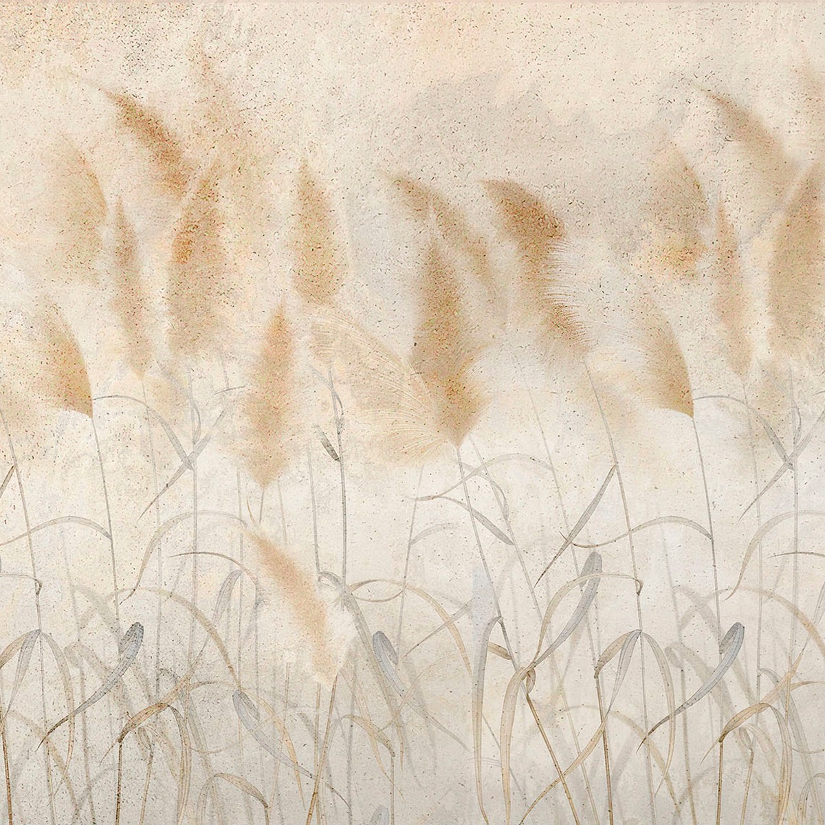 TapLab Canneto Collection 24 Labtela