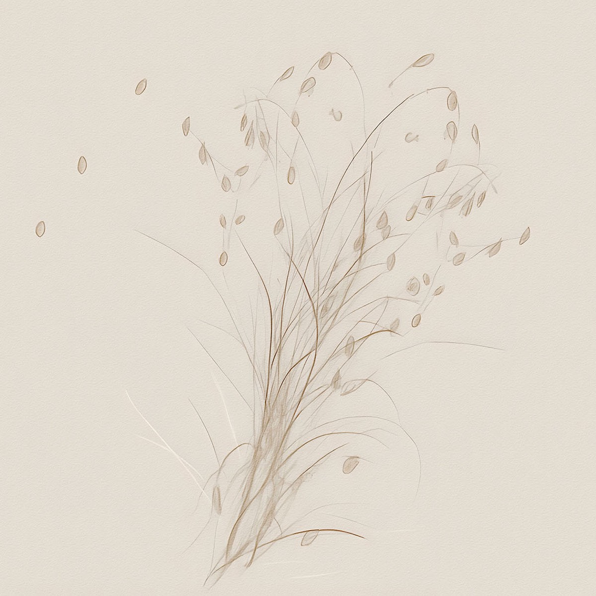 TapLab Foglie D'Aria Collection 26 Labtela